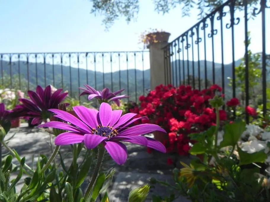 Holiday home Azienda Agricola Zulin Casa Elena Levanto