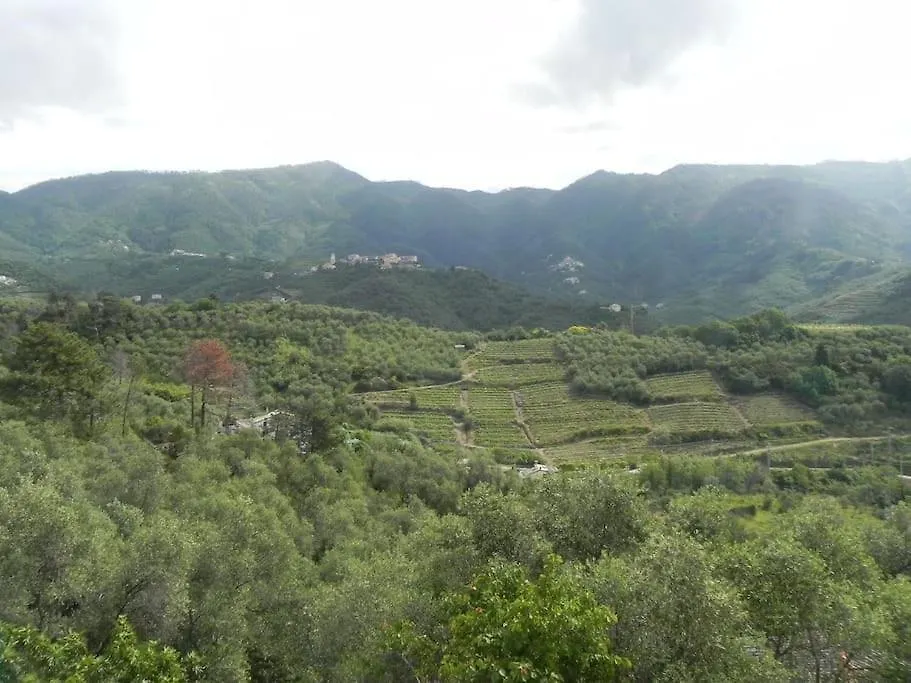 Holiday home Azienda Agricola Zulin Casa Elena Levanto